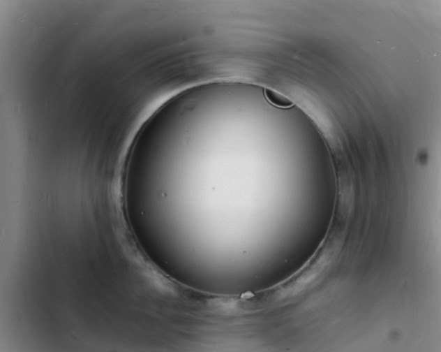 X0000102780956200808251113