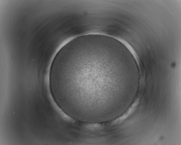 X0000102780957200808251113