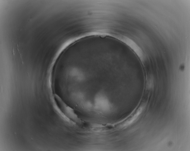 X0000102780958200808251113