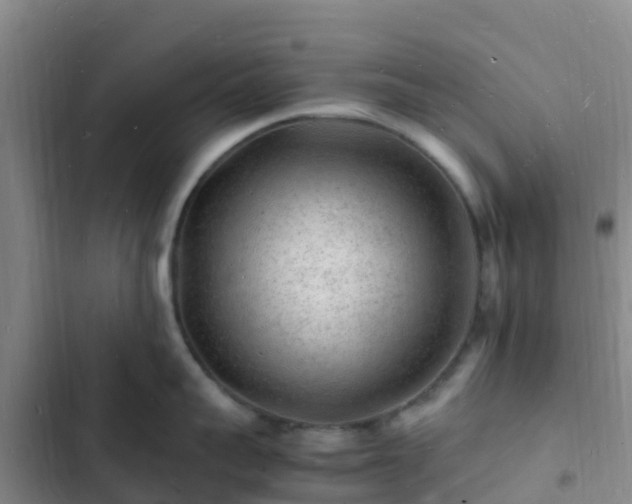 X0000102780959200808251113