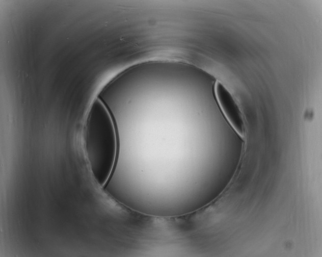 X0000102780960200808251113