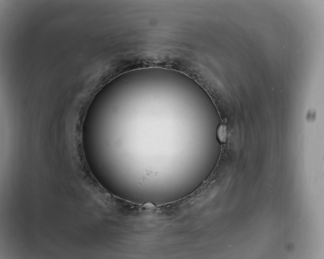 X0000102780961200808251112