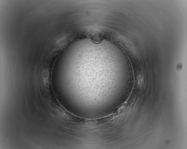 X0000102780964200808251112