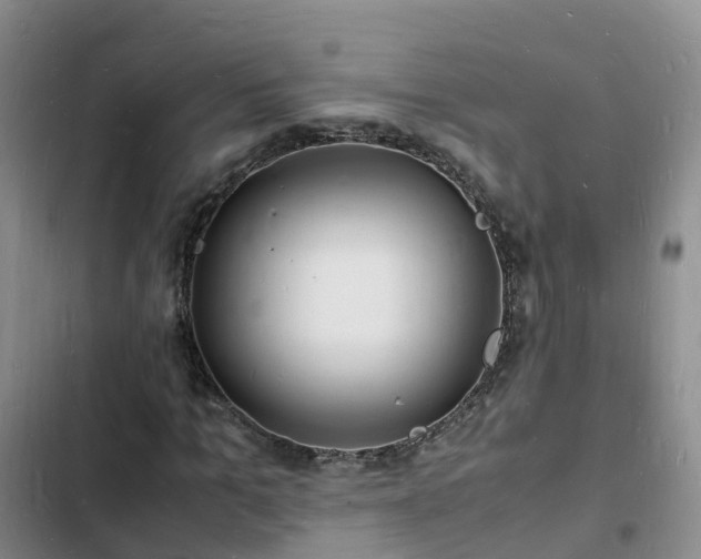 X0000102780965200808251112