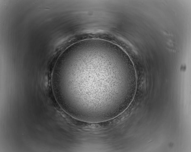 X0000102780966200808251112