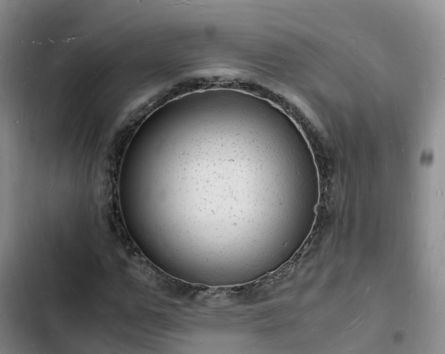 X0000102780967200808251112