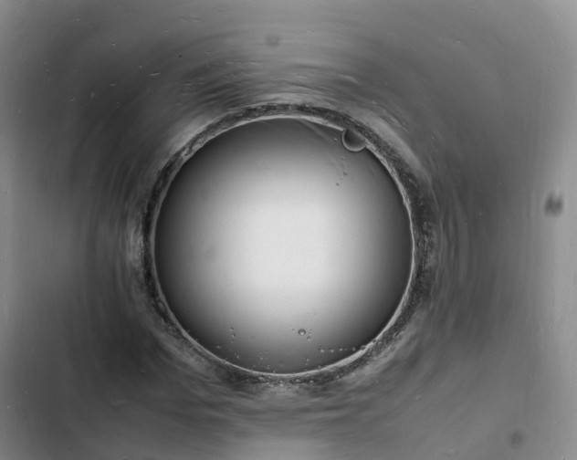 X0000102780969200808251112