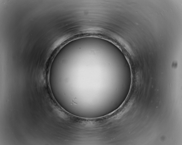 X0000102780970200808251112