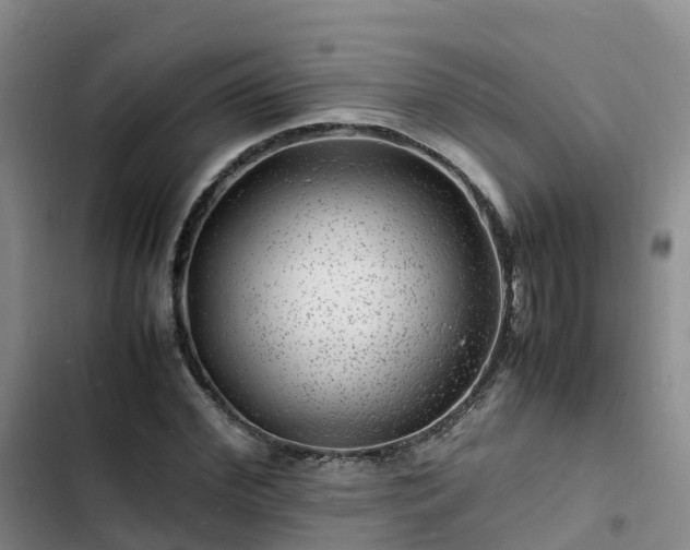 X0000102780972200808251112