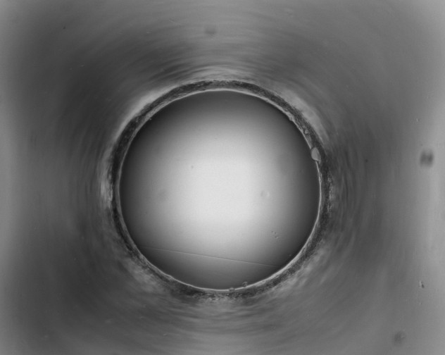 X0000102780973200808251112