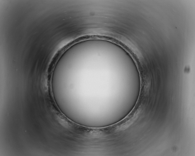 X0000102780974200808251112