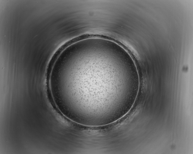 X0000102780976200808251111