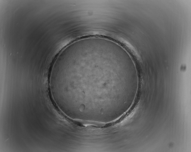 X0000102780977200808251111