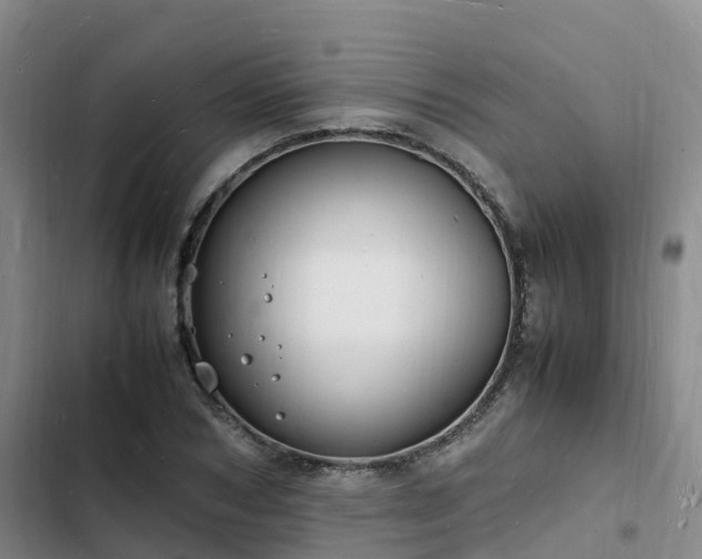 X0000102780978200808251111