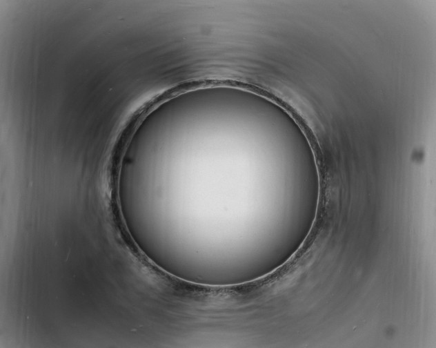 X0000102780979200808251111