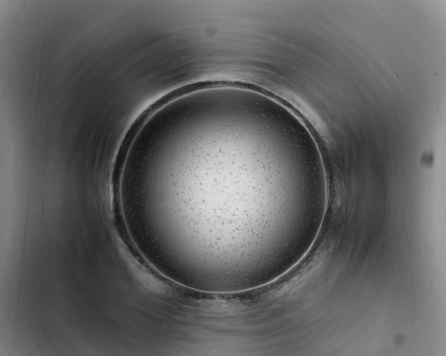 X0000102780980200808251111