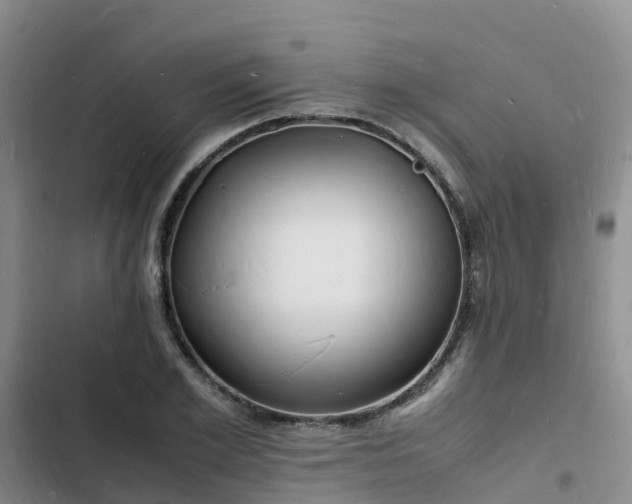 X0000102780981200808251111