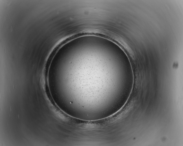 X0000102780984200808251111