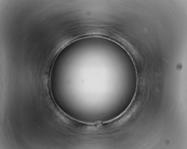 X0000102780985200808251111