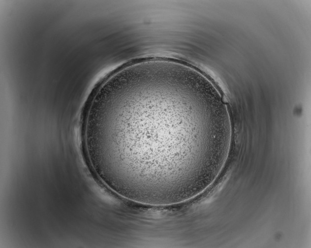 X0000102780987200808251111