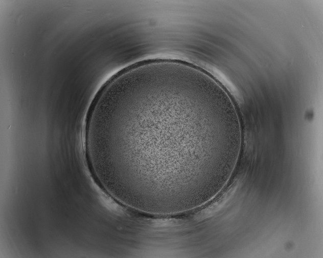 X0000102780988200808251111