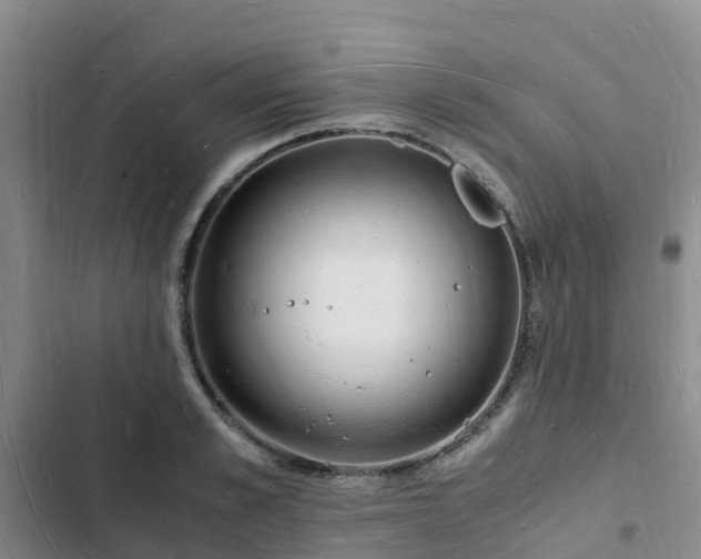 X0000102780989200808251111