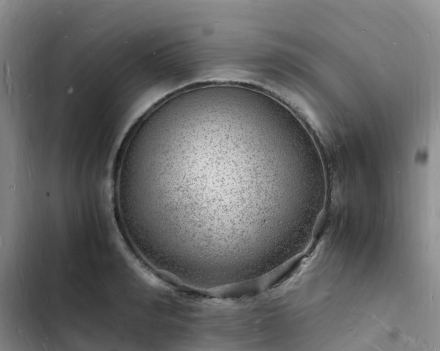 X0000102780990200808251111