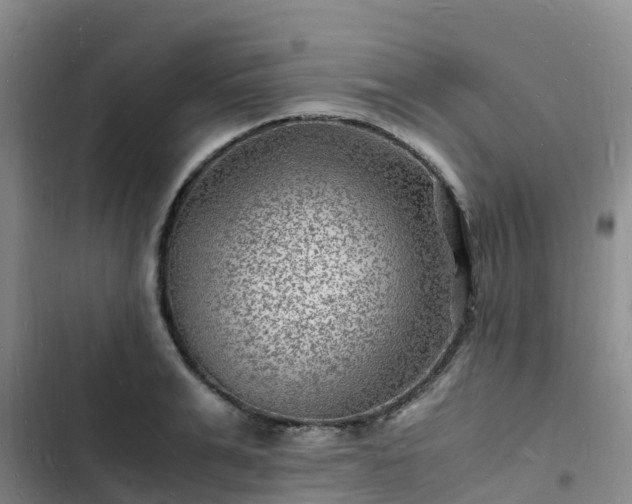 X0000102780991200808251111