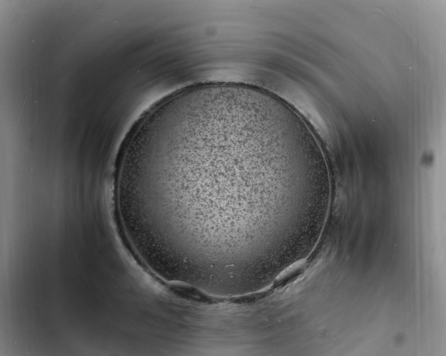 X0000102780992200808251111