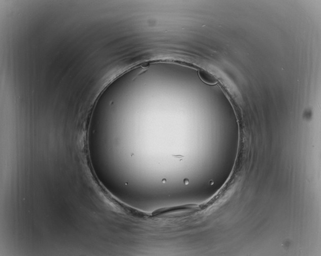 X0000102780993200808251111