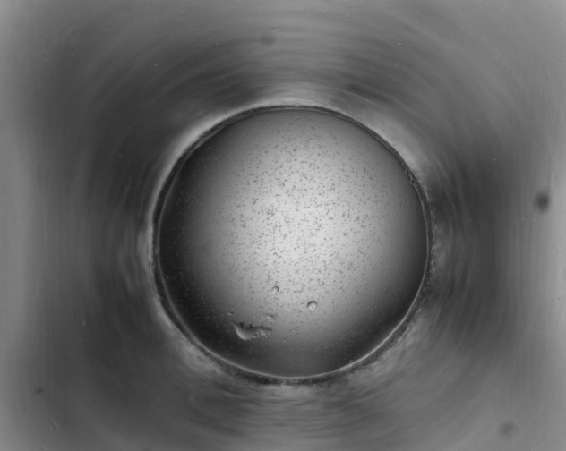 X0000102780996200808251111