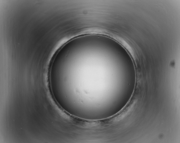 X0000102780997200808251111