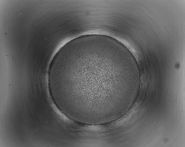 X0000102780998200808251111