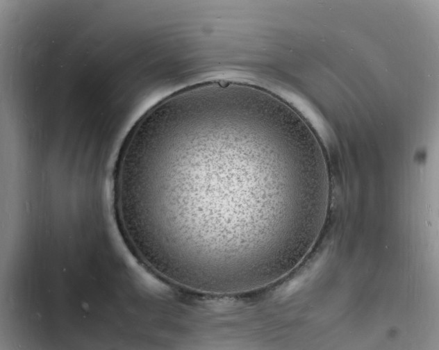 X0000102780999200808251111