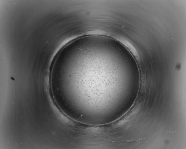 X0000102781000200808251111