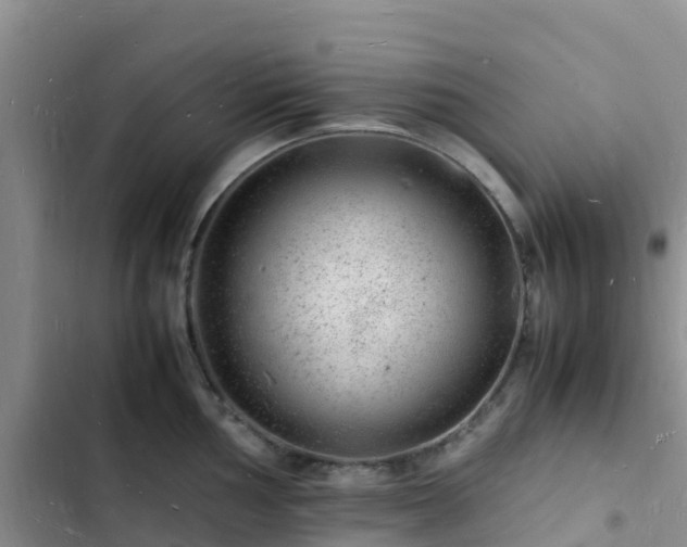 X0000102781002200808251111