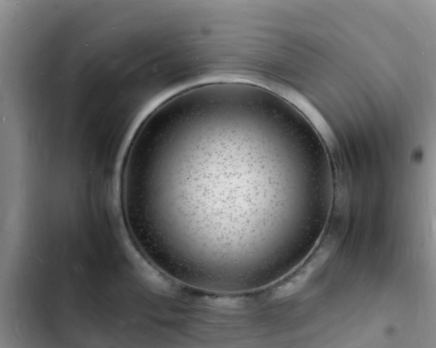 X0000102781004200808251111