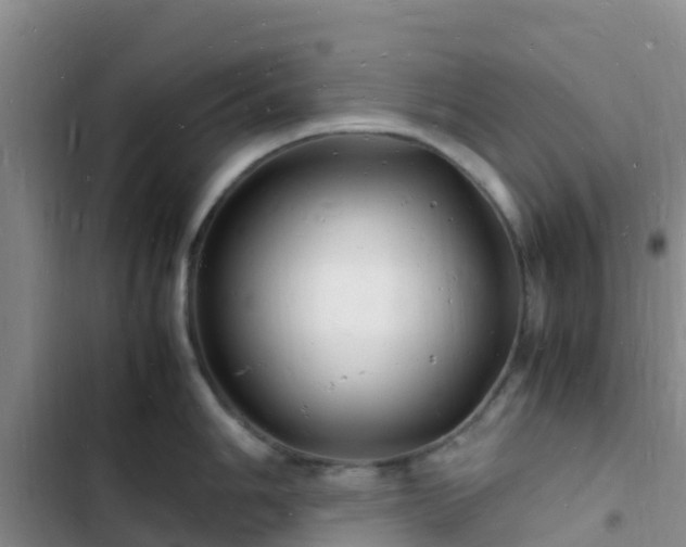 X0000102781006200808251111