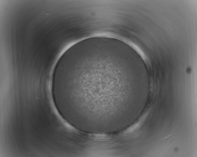 X0000102781007200808251111