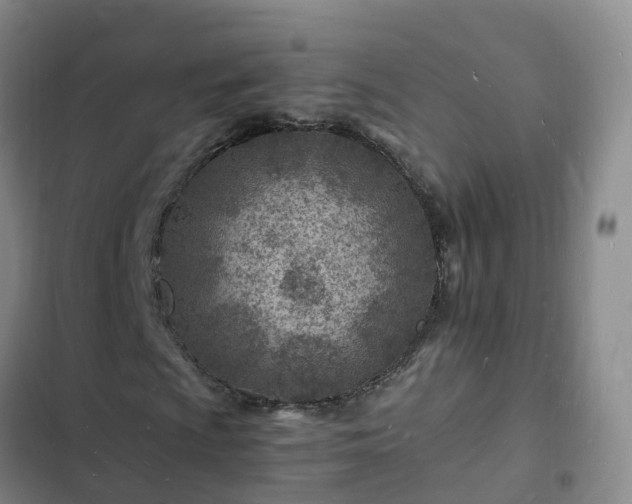 X0000102781009200808251110