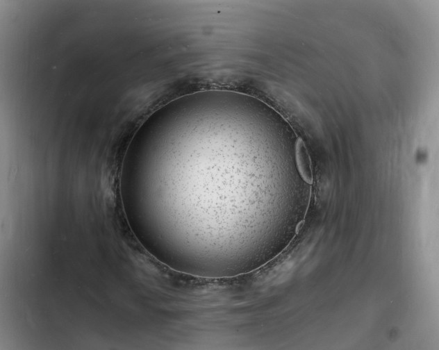 X0000102781010200808251110