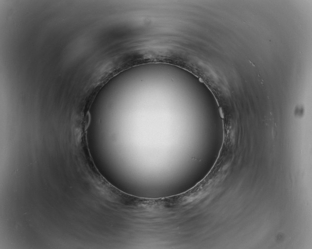 X0000102781012200808251110