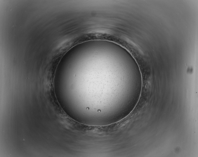 X0000102781014200808251110