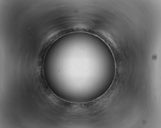 X0000102781015200808251110