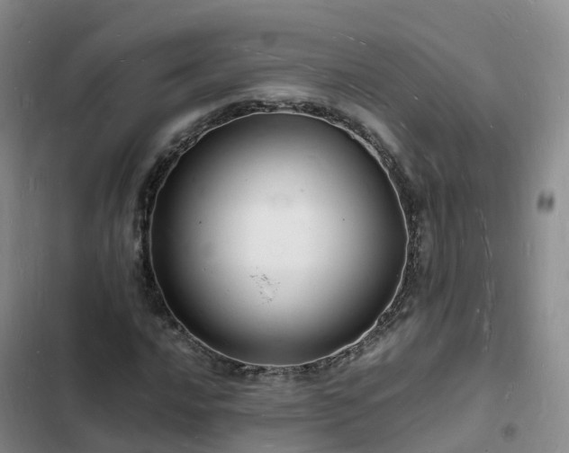 X0000102781016200808251110