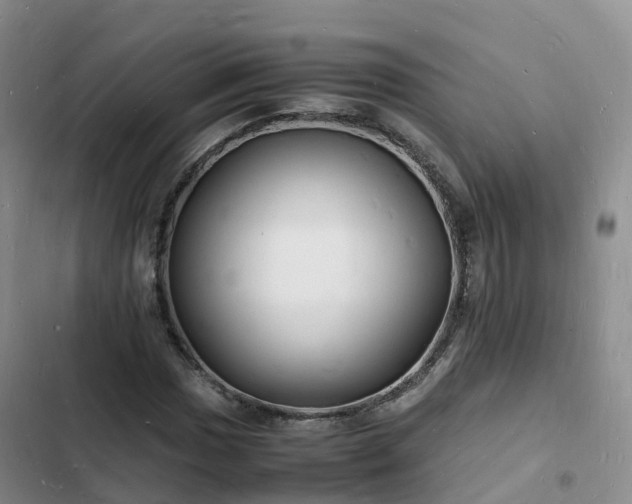 X0000102781017200808251110