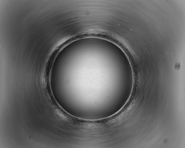 X0000102781018200808251110