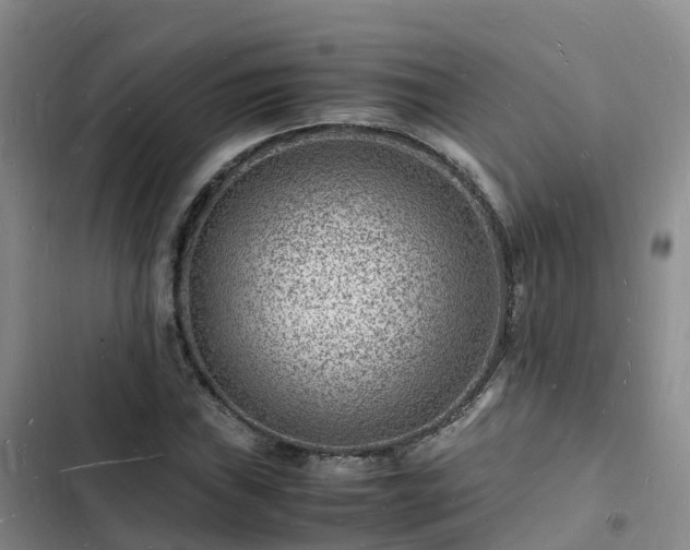 X0000102781019200808251110