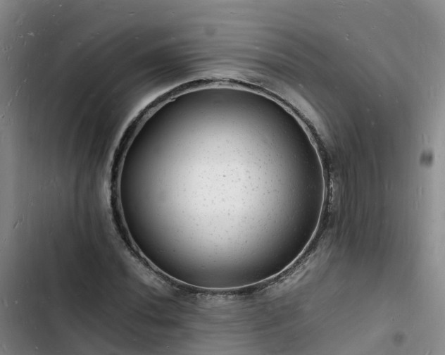 X0000102781020200808251110