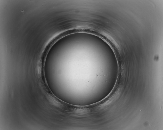 X0000102781021200808251110